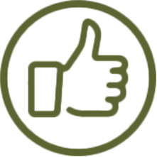 WHEELYQ'S SAUCE, RUBS AND SEASONING ARE ALL GOOD AND DO NOT CONTAIN ANY OF THAT FAKE STUFF.