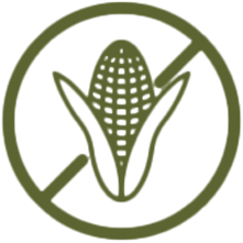 WHEELYQ'S BARBECUE SAUCE DOES NOT CONTAIN ANY HIGH FRUCTOSE CORN SYRUP.